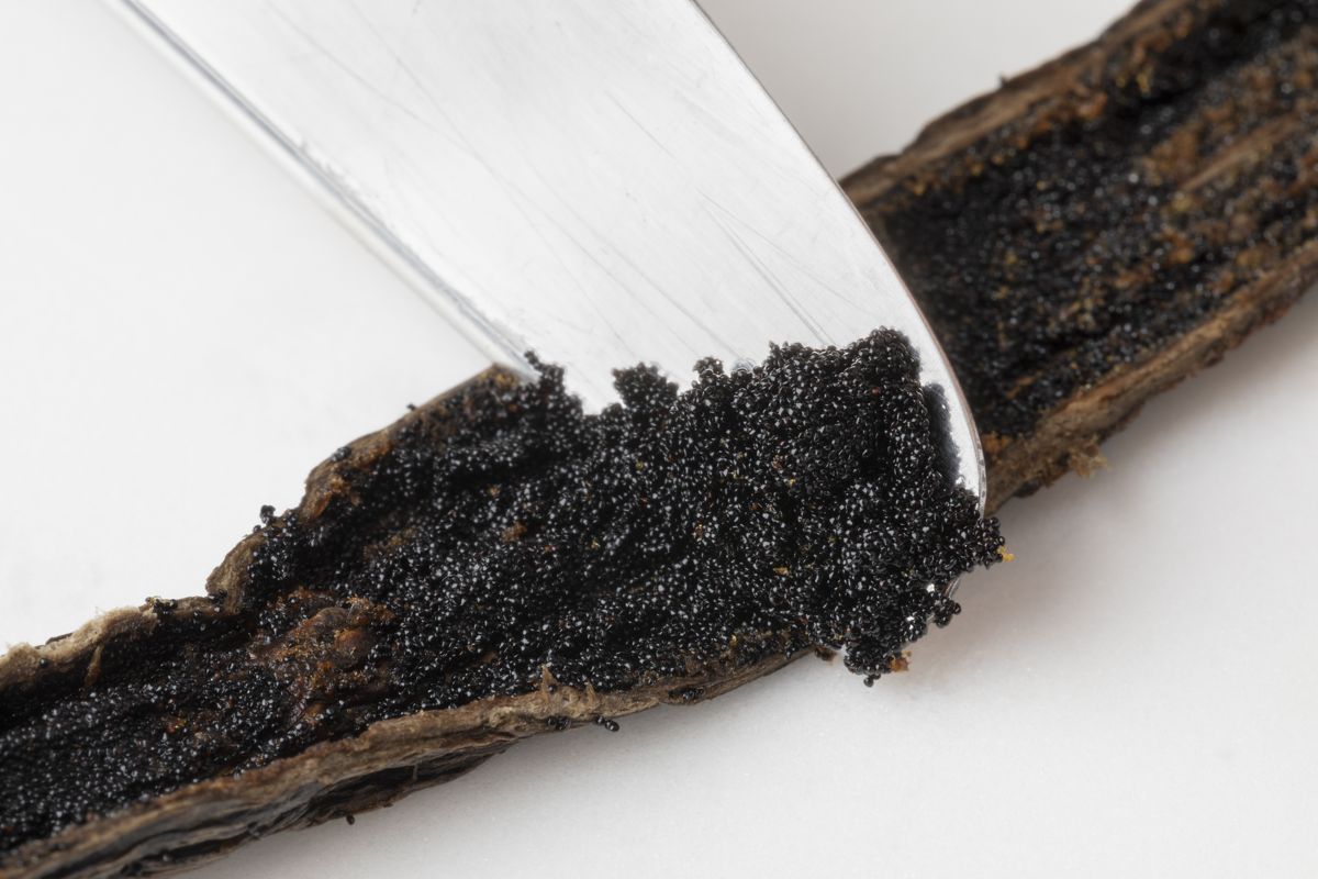 A knife scraping seeds from a vanilla pod