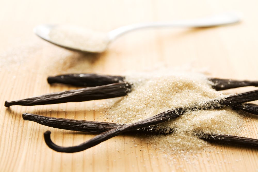 Vanilla beans resting in a pile of sugar